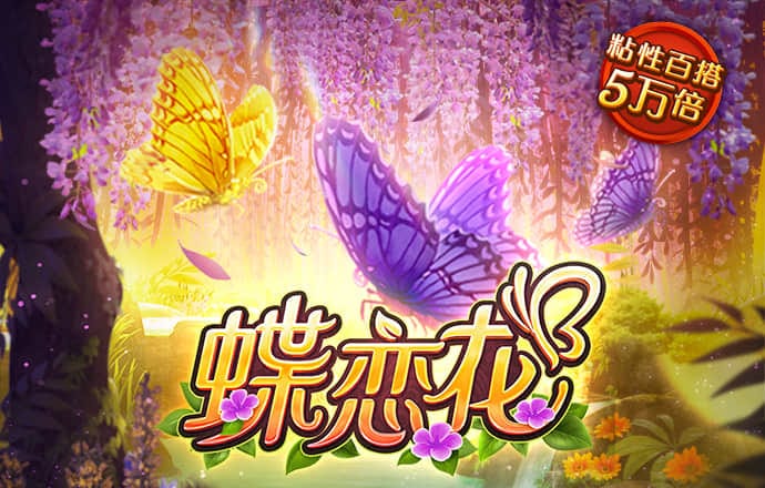 星空体育综合登录